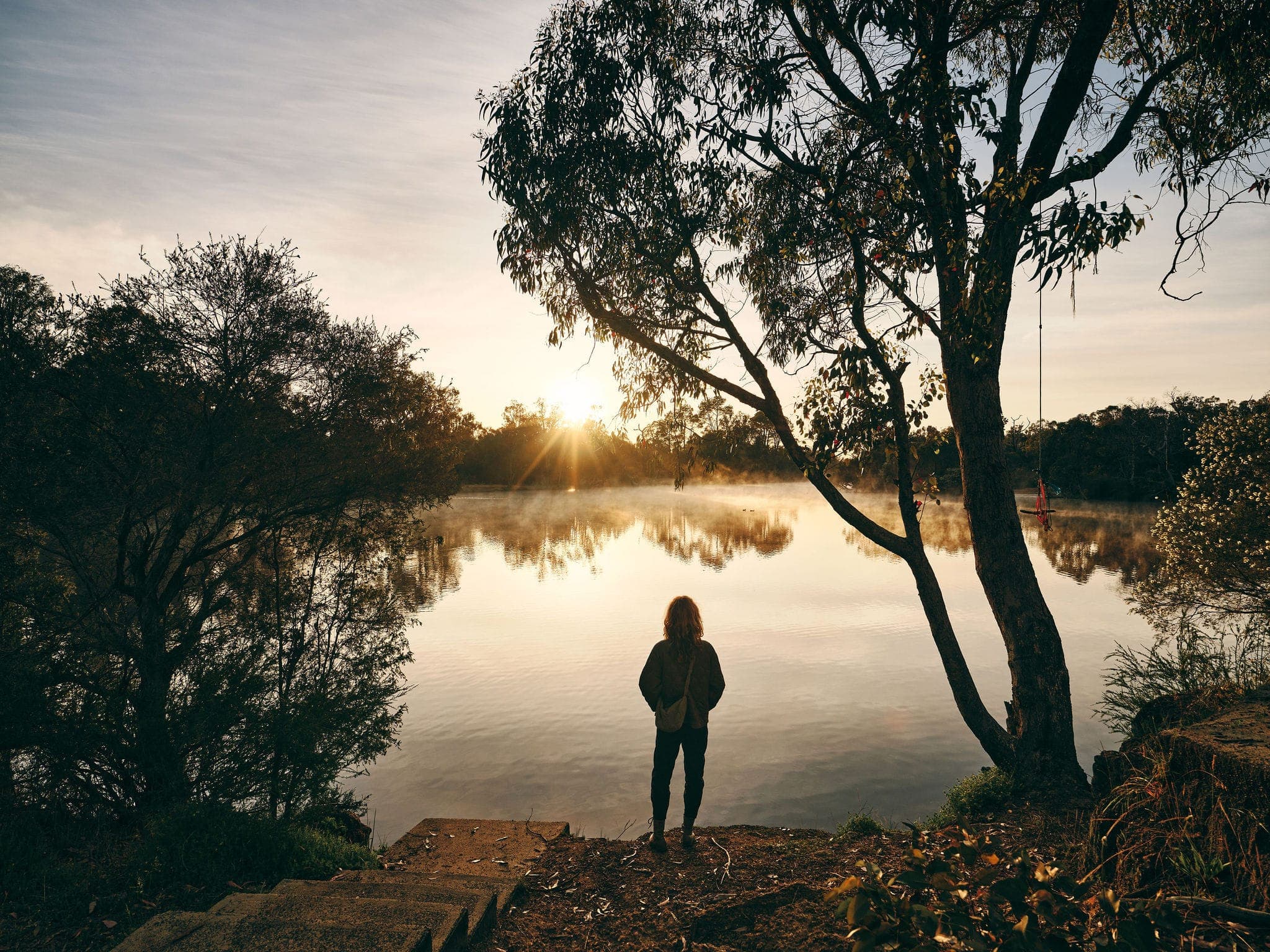 Collie River around Minningup Pool, deep in jarrah country